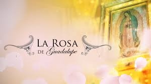 La Rosa De Guadalupe Capitulos Univision