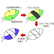 栄養分の作り方