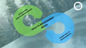 Those living with a mental illness or disorder — whether ongoing or temporary — often find that it affects many areas of their life, including. Five Pathways Towards Health Environment Policy In A Wellbeing Economy Wellbeing Economy Alliance