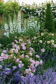 Ein Schweizer Garten On Instagram Abendliches Chillen Unterm Haselnussstrauch Instagarden Garte Colorful Garden Plant Combinations Garden Inspiration
