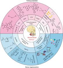 Check spelling or type a new query. Biomaterial Based Strategies For Maxillofacial Tumour Therapy And Bone Defect Regeneration International Journal Of Oral Science