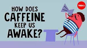 Caffeine Metabolism