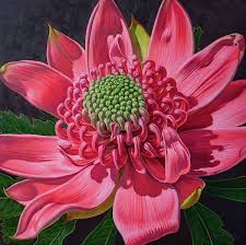 Pink Waratah Beauty 1 Artist Fiona Craig This Image Is Featured In The Fine Art America Group Images That Excite You Http Flower Art Art Floral Painting