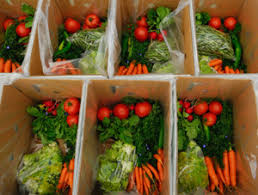 Image result for agriculture box