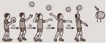 Posisi pemain dengan tugas dan zona. Teknik Dasar Permainan Bola Voli Beserta Gambar Lengkap Basic Volleyball Game Techniques Pustakapengetahuan Com