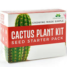 Introduction growing cactus from seed is not terribly difficult, although it does take purpose and patience. Cactus Kit Grow Your Own Cacti Plants Indoors Unusual Gardening Gift Cactus Seeds Pots Soil Buy Online In Guernsey At Guernsey Desertcart Com Productid 51824034