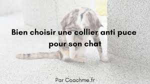Tout d'abord, ce collier anti puce chat est réglable, c'est à dire ajustable en longueur. Comment Choisir Un Collier Antipuce Pour Chat