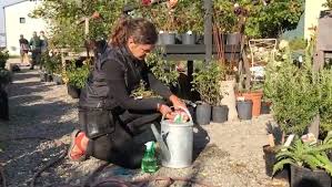 Image result for site:byggahus.se blanda