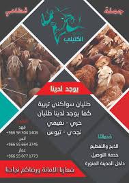 ما شفناك عنده تتكلم عن الصدق والأمانة! Ø§Ø³Ø£Ù„ Ù…Ø¯ÙŠÙ†ØªÙƒ Ø§Ù„Ø³Ù„Ø§Ù… Ø¹Ù„ÙŠÙƒÙ… Ø­Ø§Ø¨Ø© Ø§Ø³Ø£Ù„ Ø¹Ù† Ø­Ø³Ø§Ø¨ Ø§Ùˆ Ù…Ø­Ù„ ÙŠØ¨ÙŠØ¹ Ù„Ø­Ù… Ø°Ø¨ÙŠØ­Ù‡ Ø­Ø±ÙŠ ÙŠØ¹Ù†ÙŠ ÙŠØ°Ø¨Ø­ Ø§Ù„Ø°Ø¨ÙŠØ­Ø© Ø¨ÙˆÙ‚ØªÙ‡Ø§ ÙˆÙŠÙ‚Ø³Ù…Ù‡Ø§ Ø¨ÙŠÙ† Ø§Ù„Ø£Ø´Ø®Ø§Øµ ÙŠØ¹Ù†ÙŠ Ù…Ø§Ù‡Ùˆ Ù…Ù† Ø§Ù„Ù…Ø¹Ù„Ù‚Ø© ÙÙŠ Ø§Ù„Ù…Ù„Ø­Ù…Ø©