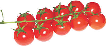 Select from 35970 printable coloring pages of cartoons, animals, nature, bible and many more. Banner Freeuse Download Cherry Tomato Clipart Cherry Tomato No Background Png Download Full Size Clipart 780881 Pinclipart
