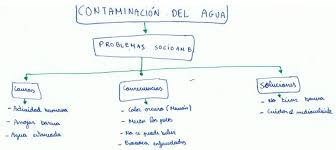 La clasificación nacional de actividades económicas o cnae de españa permite la clasificación y agrupación de las unidades productoras según la actividad que ejercen de cara a la elaboración de estadísticas. Vista De Los Mapas Conceptuales Como Instrumento De Evaluacion Una Experiencia De Educacion Ambiental Centrada En El Estudio De Ecosistemas Acuaticos Actualidades Investigativas En Educacion