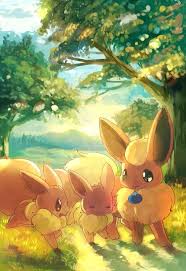 Eevee Flareon Susse Pokemon Pokemon Bilder Bilder