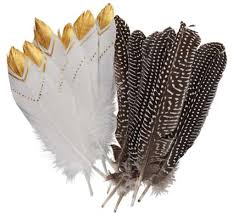 Проверьте 'federn' перевод на английский. 12er Pack Indianer Federn Online Kaufen Buttinette Karneval Shop