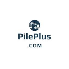 For Sale Nr Domain Name Auction Pile Plus Com Internet Business Brand Namesilo Webstore Internet Business Business Branding Names