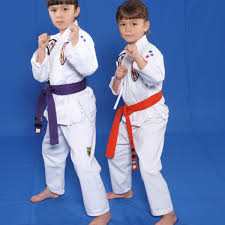 kaɽati) is a martial art developed in the ryukyu kingdom. 16 Karate Games For Kids Howtheyplay