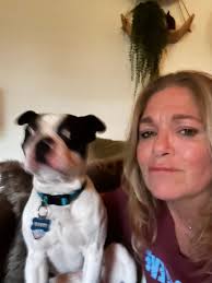 Taking photos of energetic Boston terriers