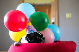 I know there has to be some types of roses that are so dark red they almost look black. Send Balloons Sending Balloons Deliver Balloons
