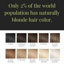 Pin On Basics Of Hair Color Or Hair Dye For Women