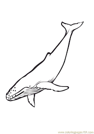 The spruce / wenjia tang take a break and have some fun with this collection of free, printable co. Blue Whale Coloring Page For Kids Free Whale Printable Coloring Pages Online For Kids Coloringpages101 Com Coloring Pages For Kids