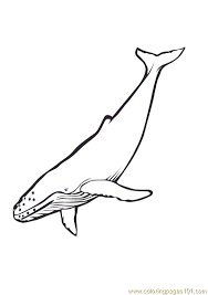 Whether you're trying to learn more about the psychology behind colors or you're a budding artist trying to mix colored paints together to make a masterpiece, it's imperative to know a bit about primary and secondary colors and how to mix t. Blue Whale Coloring Page For Kids Free Whale Printable Coloring Pages Online For Kids Coloringpages101 Com Coloring Pages For Kids
