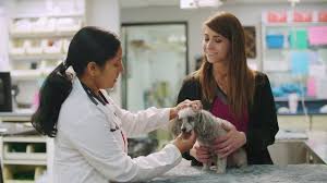 If you do not already have a preferred location, we can help you find the closest wellness center or community clinic near you. National Veterinary Associates Nva