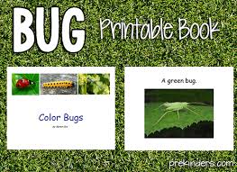 You can get the best discount of up to 50% off. Bugs Theme Prekinders