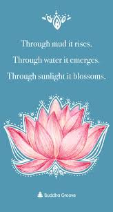 The lotus sutra is able to bring abundant benefits and blessings to all living beings, fulfilling all their desires, hopes, and dreams. (lotus sutra 23: Inspiration From The Lotus Flower Lotus Flower Quote Flower Quotes Lotus Flower Art