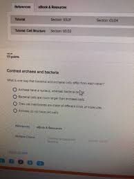 Plant cell vs animal cell. Tutorial Cel Structure Section 03 02 16 Value 111 Chegg Com