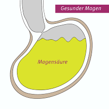 Sodbrennen Schwangerschaft Hausmittel Tipps Kanyo