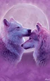 We present you our collection of desktop wallpaper theme: 220 Wolf Gifs Ideas Wolf Beautiful Wolves Wolf Pictures