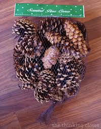 These gold gilded pine cones, sprinkled with 4 different kinds of gold glitter, are so versatile to use for all. Gold Brushed Pine Cone Ornaments With Myfavoritebloggers The Thinking Closet