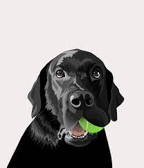 Digital Dog Illustration Pet Portrait Digital Dog Portrait Pet Portraits Dog Portraits