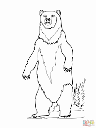 Brown Bear Coloring Page Best Of Brown Bear Printables Coloring Home In 2020 Bear Coloring Pages Paw Patrol Coloring Pages Shopkins Colouring Pages