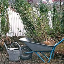 Epingle Sur Jardin