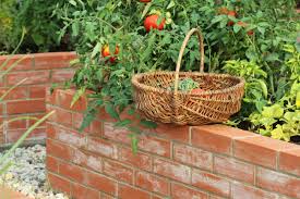 Maybe you would like to learn more about one of these? Making A Brick Raised Garden Bed Kellogg Garden Organics