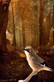Animated Gif Bird Is The Word Gif Https Encrypted Tbn0 Gstatic Com Images Q Tbn 3aand9gct1indewglsy9p H8qqvh0nkku M3qzh1ebaa Usqp Cau