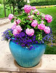 Summer Container Planting Patio Flower Pots Plants Container Plants