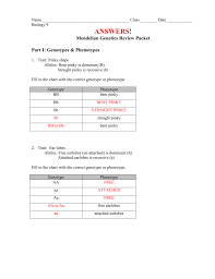 Genotype is an organism's full hereditary information. Understanding Phenotype And Genotype Worksheet Answers