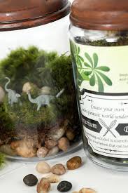 Jurassic In A Jar Diy Terrarium Kit Terrariums Kits Terrarium Diy Diy Terrarium Kit