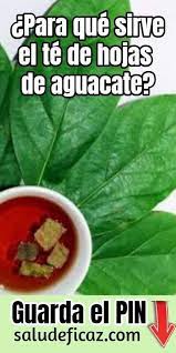 Awesome Health Tips Are Available On Our Site Take A Look And You Wont Be Sorry You Did Health Hoja De Aguacate Aguacate Beneficios Aguacate