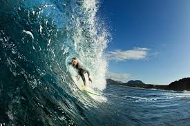 Image result for foto surfínie