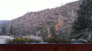 We did not find results for: Schreckliches Unwetter Hochlandrinderzucht Sudtirol Schottische Hochlandrinder Vom Rosengarten Plank Dieter