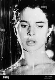 Paul Gallier's Instagram, Twitter & Facebook