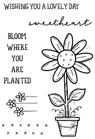 Amazon.com: CREATIVE EXPRESSIONS CLEAR STAMP SET DAISY BLOO, Transparent :  Arts, Crafts & Sewing