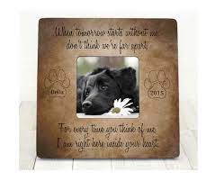 Sending a condolence card is an. 10 Best Pet Loss Sympathy Gift Ideas