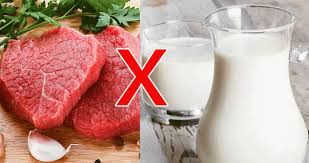 Hasil gambar untuk susu dan daging
