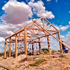 Image result for Androstachys johnsonii