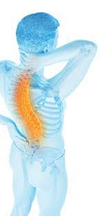 Zittern (fachsprachlich tremor) steht in der medizin für unwillkürliche rhythmische bewegungen einer oder mehrerer mitunter deuten sie aber auch auf erkrankungen oder ganz andere ursachen hin. Stress Entspannt Aus Dem Korper Zittern Ausgabe 1 2020 Paracelsus Magazin