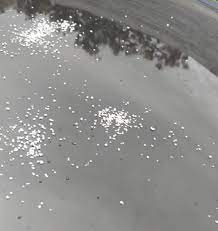 Relaxe seu corpo e sua mente com os belos sons de chuva em alta qualidade. Xqq4m9ukrlnv7m