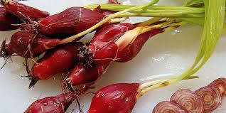10 manfaat kulit bawang putih bagi kesehatan; Adakah Manfaat Bawang Dayak Untuk Diabetes Hello Sehat
